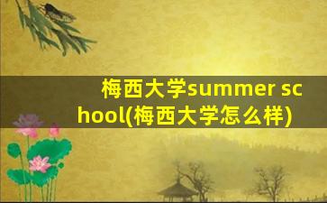 梅西大学summer school(梅西大学怎么样)